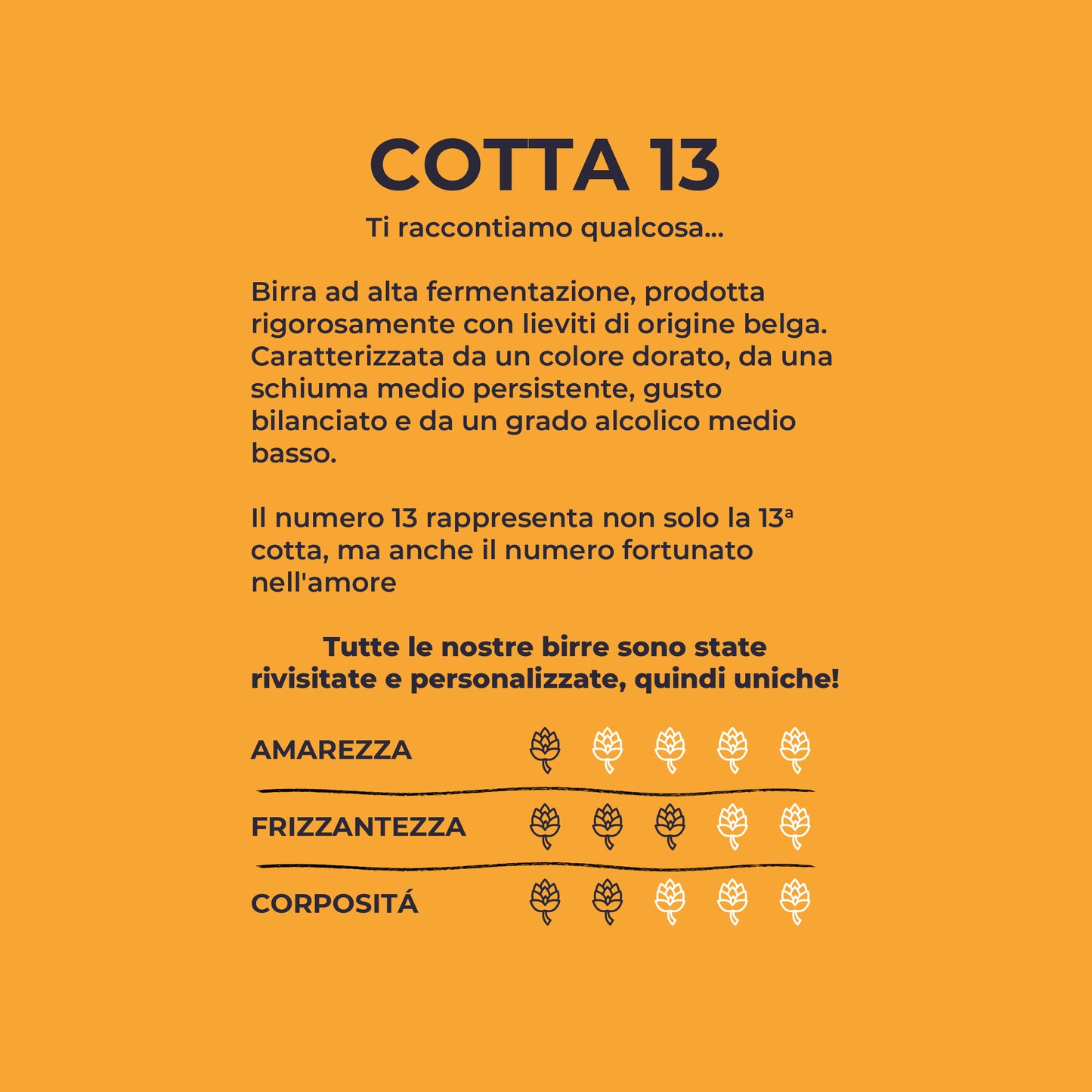 Cotta 13